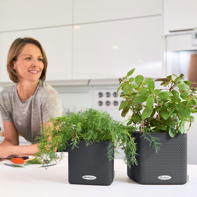 Lechuza 'Cube Color 16', schiefergrau, ca. 17 x 17 x H 16 cm