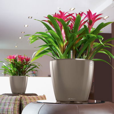 Lechuza 'Classico LS 50', taupe, ca. Ø 50 x H 47 cm