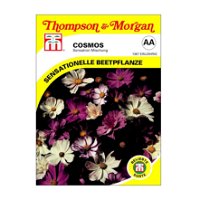 Cosmos Sensation Mischung, einjährige Sommerblumen, ideale Beet- und Rabattenpflanze