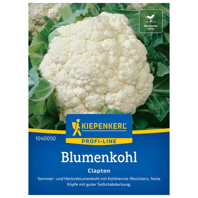 Gemüsesamen, Blumenkohl 'Clapton', weiß