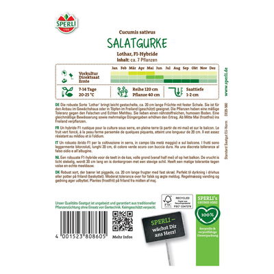 Saatgut Salatgurke 'Lothar' Saatgut Salatgurke 'Lothar'