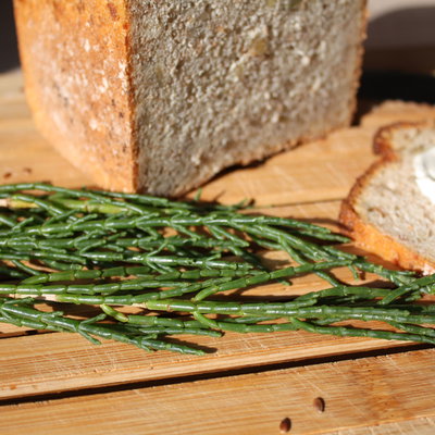 Blu Bio Salzkraut (Queller), Topf-Ø 12 cm, 3er Set Blu Bio Salzkraut (Queller), Topf-Ø 12 cm, 3er Set