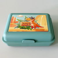 Dino Snack®, Sisko, Goldtüpfelfarn, Topf-Ø 14 cm, mit Brotdose