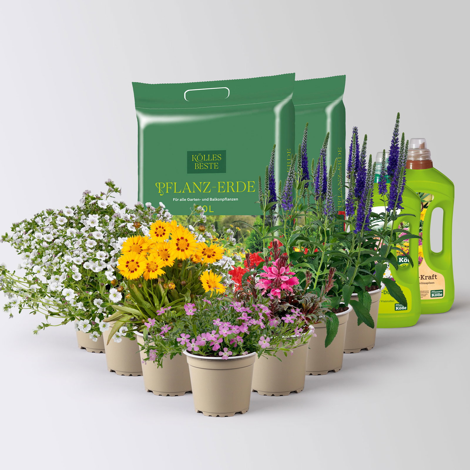 Pflanzenkreation Blütengeflüster, 7 Pflanzen inkl. Erde und Dünger