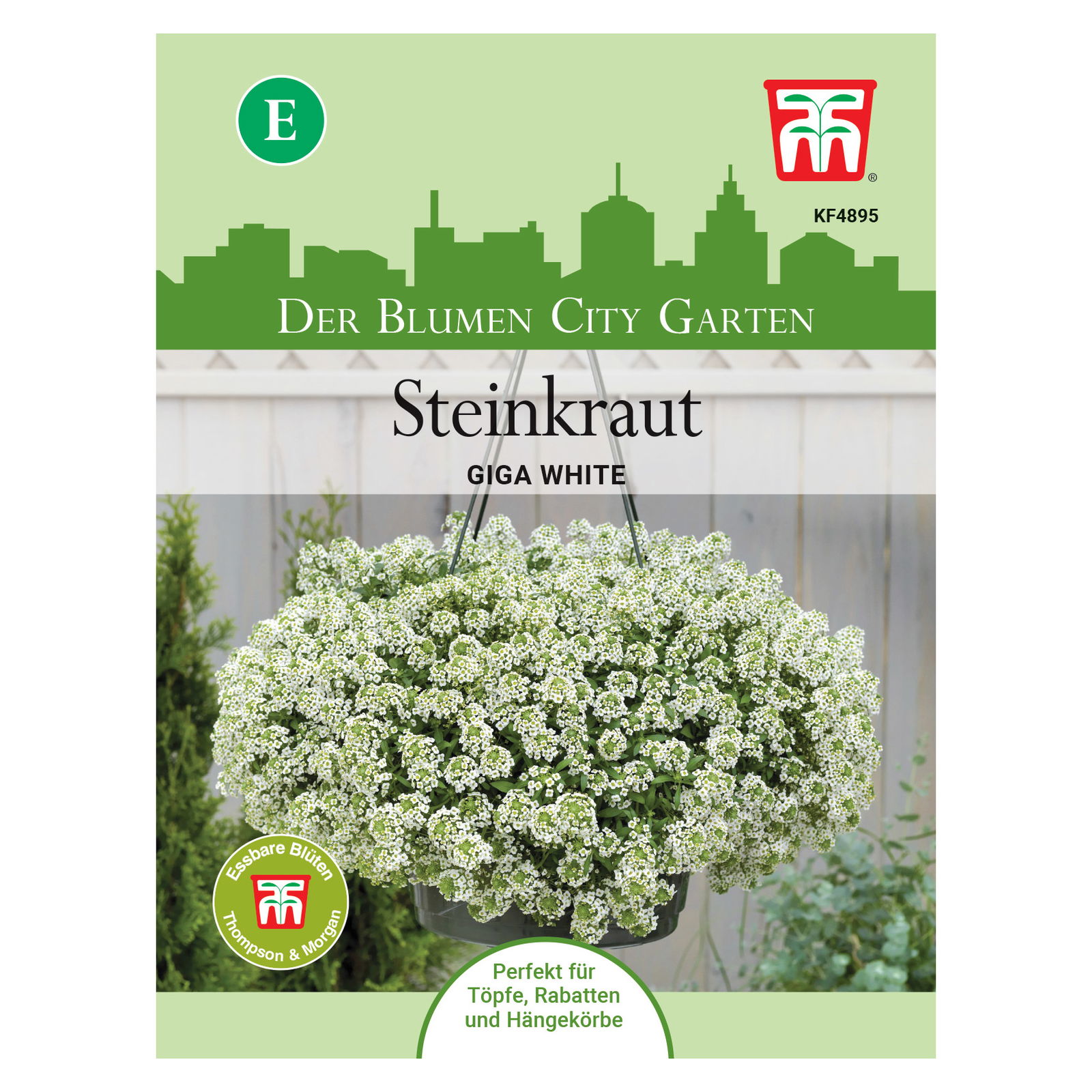 Blumensamen, Steinkraut 'Giga White'