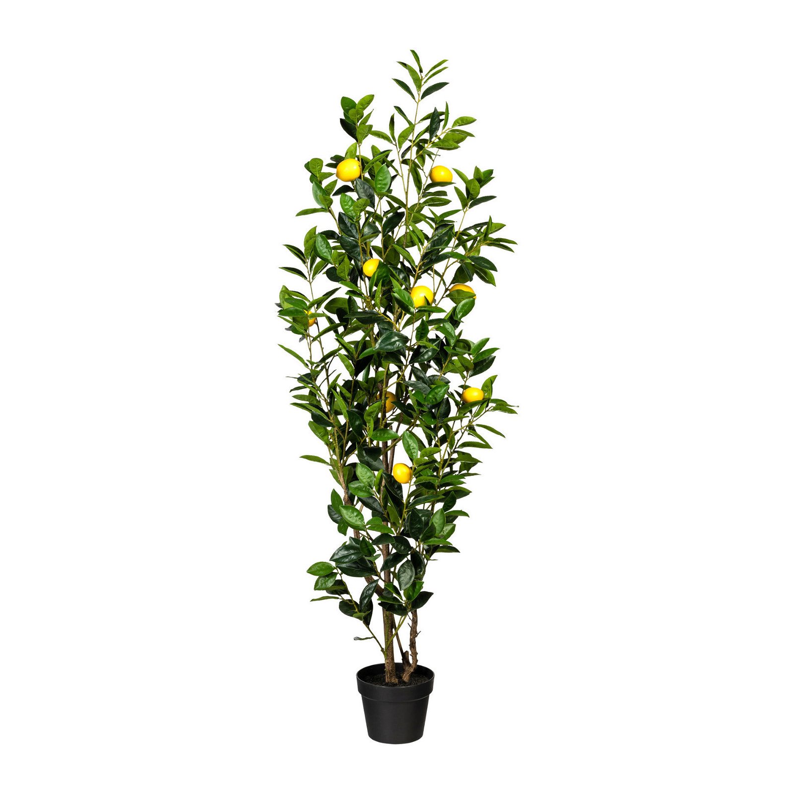 Kunstpflanze Zitronenbaum, 9 Früchte, Höhe ca. 150 cm