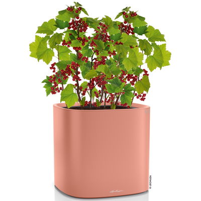 Lechuza 'Pila Color Planter', korallrot, ca. 35 x 35 x H 32,5 cm
