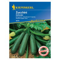 Saatgut Zucchini 'Defender'