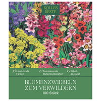 Kölles Beste Blumenzwiebeln zum Verwildern Mischung, 100 Blumenzwiebeln