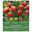 Kollektion Farbenfrohe Papageien-Tulpen 25 Blumenzwiebeln