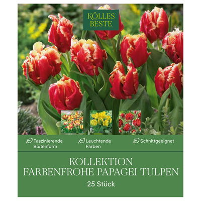 Kollektion Farbenfrohe Papageien-Tulpen 25 Blumenzwiebeln Kollektion Farbenfrohe Papageien-Tulpen 25 Blumenzwiebeln