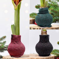 Amaryllis in Wachs, Dekor 'Pullover Fashionz Pattern' zufällig, Blüte rot Amaryllis in Wachs, Dekor 'Pullover Fashionz Pattern' zufällig, Blüte rot