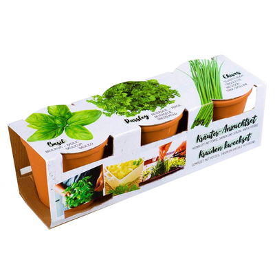 Trio Küchenkräuter mit Basilikum, Schnittlauch und Petersilie Trio Küchenkräuter mit Basilikum, Schnittlauch und Petersilie