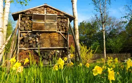 Insektenhotel und Blumenwiese im März Insektenhotel und Blumenwiese im März