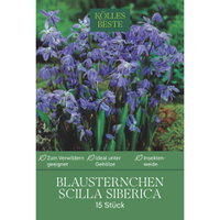 Blausternchen (Scilla Siberica) blau, 15 Blumenzwiebeln Blausternchen (Scilla Siberica) blau, 15 Blumenzwiebeln