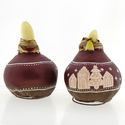 Amaryllis in Wachs, Dekor 'Lebkuchen', handbemalt, Blüte rot Amaryllis in Wachs, Dekor 'Lebkuchen', handbemalt, Blüte rot