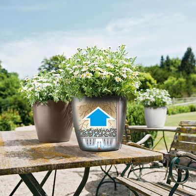 Lechuza 'Classico Color 28', schiefergrau, ca. Ø 27,5 x H 26 cm Lechuza 'Classico Color 28', schiefergrau, ca. Ø 27,5 x H 26 cm