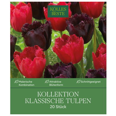 Kollektion 'Klassische Tulpen', Größe 11/12, 20 Blumenzwiebeln