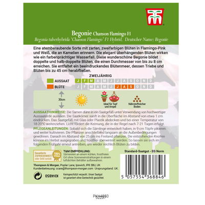 Thompson & Morgan Saatgut Begonie 'Chanson Flamingo', pink Thompson & Morgan Saatgut Begonie 'Chanson Flamingo', pink