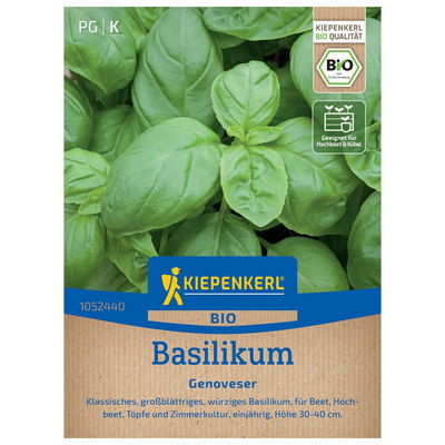 Gemüsesamen, BIO-Basilikum Gemüsesamen, BIO-Basilikum