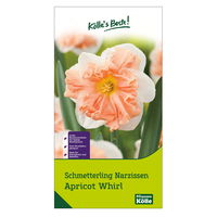 Schmetterling Narzissen Apricot Whirl, 3 Blumenzwiebeln