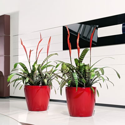 Lechuza 'Classico LS 43', scarlet-rot, ca. Ø 43 x H 40 cm