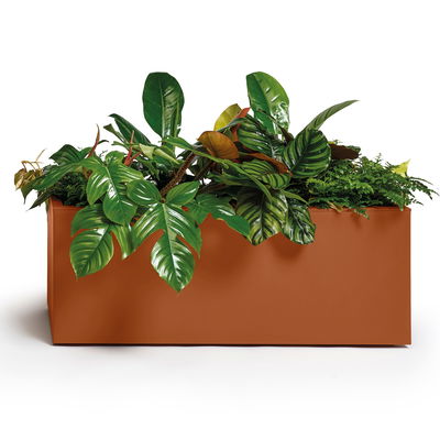 Euro 3 Plast Pflanzkasten 'Kebe', fuego, ca. 99,5 x 39,5 x H 39,5 cm