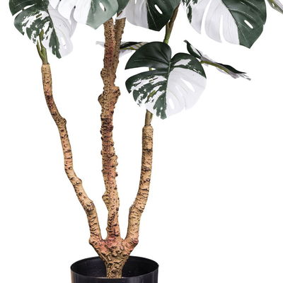 Künstliches Fensterblatt 'Monstera deliciosa Variegata', Höhe ca. 110cm Künstliches Fensterblatt 'Monstera deliciosa Variegata', Höhe ca. 110cm