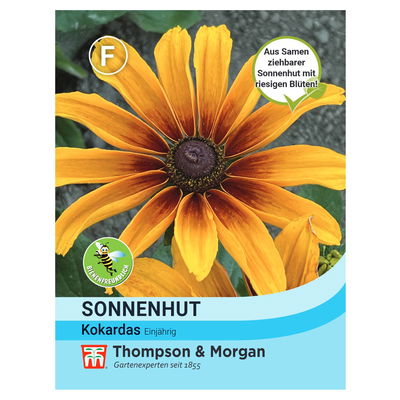 Thompson & Morgan Sonnenhut 'Kokardas®', gelb/rot Thompson & Morgan Sonnenhut 'Kokardas®', gelb/rot
