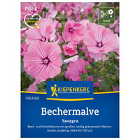 Saatgut Bechermalve 'Tanagra Rosa'
