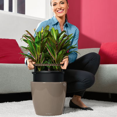 Lechuza 'Classico LS 28', taupe, ca. Ø 28 x H 26 cm