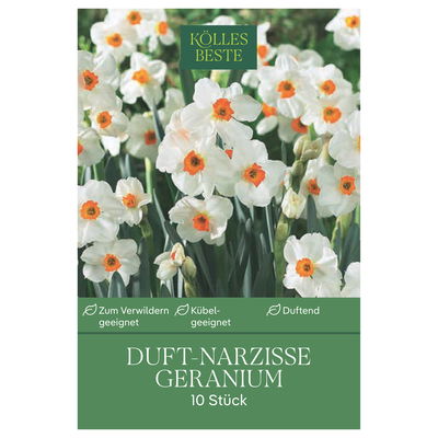 Mehrblütige Tazetten Narzissen Geranium, weiß/orange, 10 Blumenzwiebeln Mehrblütige Tazetten Narzissen Geranium, weiß/orange, 10 Blumenzwiebeln