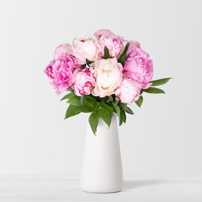 10 rosa Pfingstrosen 10 rosa Pfingstrosen