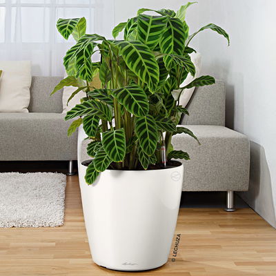 Lechuza 'Classico 70', weiß, ca. Ø 70 x H 64,5 cm