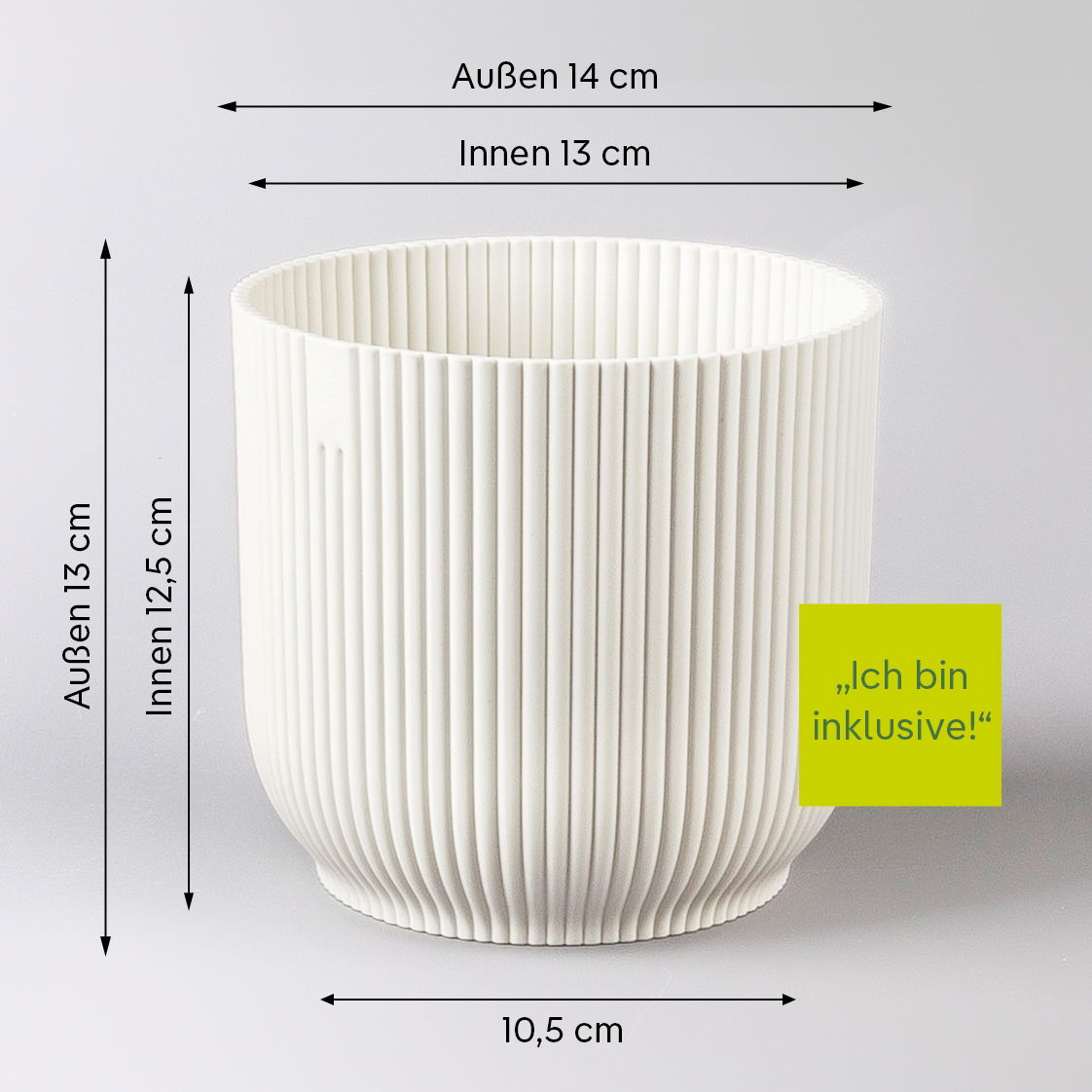 Aglaonema 'Pink', Topf-Ø 12 cm, mit Übertopf Vibes weiß Aglaonema 'Pink', Topf-Ø 12 cm, mit Übertopf Vibes weiß