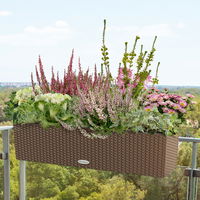 Pflanzenkreation Herbstromantik, rosa-weiß, 8 Pflanzen inkl. Erde