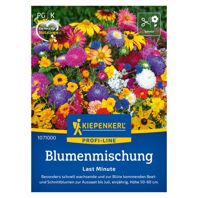 Blumensamen 'Last Minute', Alpenveilchen & Narzissen, rosa & gelb