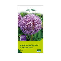 Allium Globemaster (Riesenkugellauch) purpur, 1 Blumenzwiebel