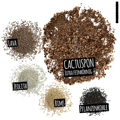 Lechuza Cactuspon, 3 Liter