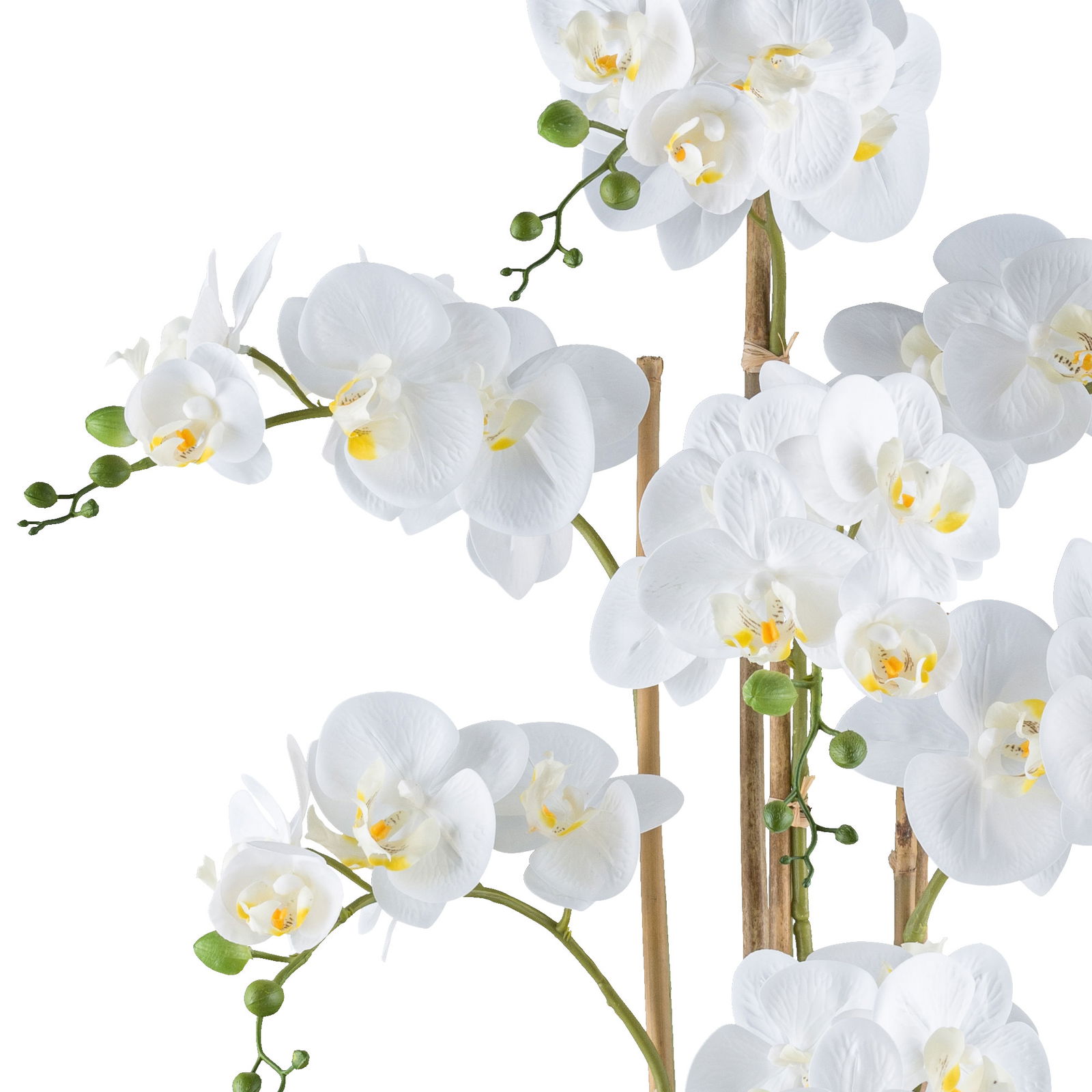 Kunstpflanze Phalaenopsis, weiß/schwarz, Höhe ca. 77 cm