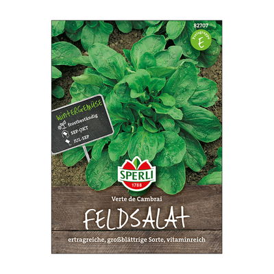 Gemüsesamen, Feldsalat 'Verte de Cambrai'