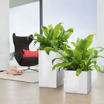 Lechuza 'Canto Premium 40 high', weiß, ca. 40 x 40 x H 76 cm