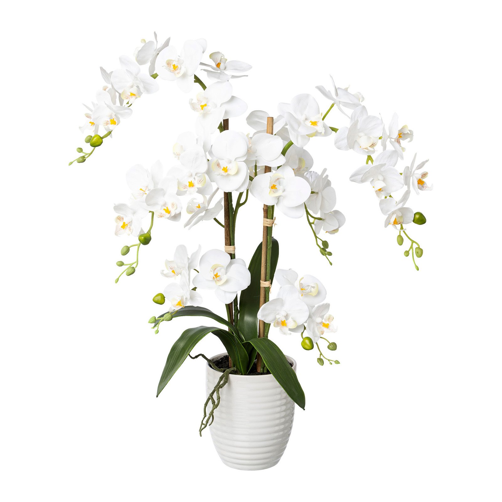 Kunstpflanze Phalaenopsis 'Real Touch', weiß, Topf-Ø 13 cm, Höhe ca. 67 cm