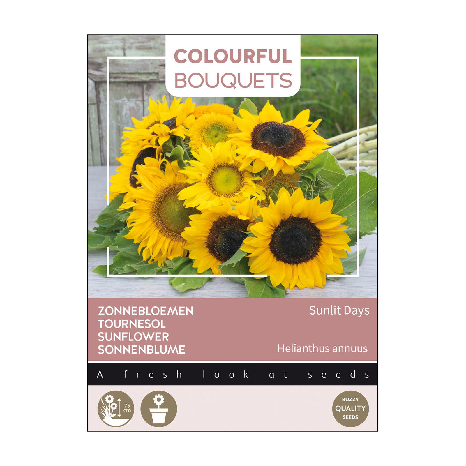 Blumensamenmischung 'Sunlit Days', gelb