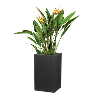 Scheurich Pflanzgefäß 'C-Cube High', Stony Black, ca. 28 x 28 x H 48 cm Scheurich Pflanzgefäß 'C-Cube High', Stony Black, ca. 28 x 28 x H 48 cm