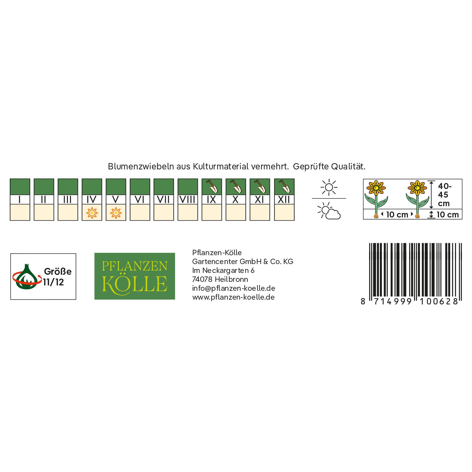 Triumph Tulpen 'Purk', pinkfarben, 7 Blumenzwiebeln Triumph Tulpen 'Purk', pinkfarben, 7 Blumenzwiebeln