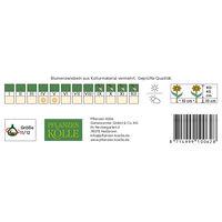 Triumph Tulpen 'Purk', pinkfarben, 7 Blumenzwiebeln Triumph Tulpen 'Purk', pinkfarben, 7 Blumenzwiebeln