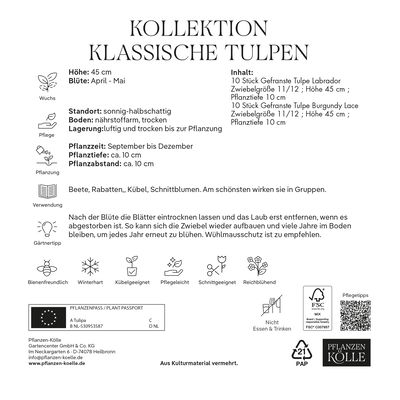 Kollektion 'Klassische Tulpen', Größe 11/12, 20 Blumenzwiebeln