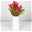 Blumenbund Protea 'Silvia' & Leucadendron, inkl. gratis Grußkarte