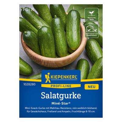 Kiepenkerl Saatgut Snackgurke 'Miné-Star®' Kiepenkerl Saatgut Snackgurke 'Miné-Star®'
